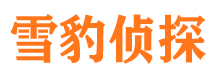 莲都外遇调查取证